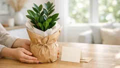 Plant gifts that never feel last-minute: easy picks for any occasion