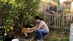 Yarn: The skinny ginger cat under my lemon tree came back at the same hour