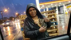 Yarn: The night my house went quiet, my ginger cat made me follow him